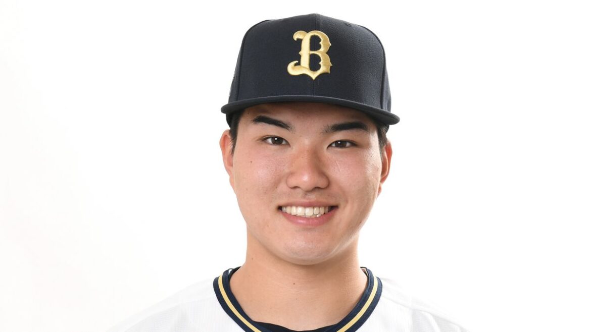 日本テレビ放送網