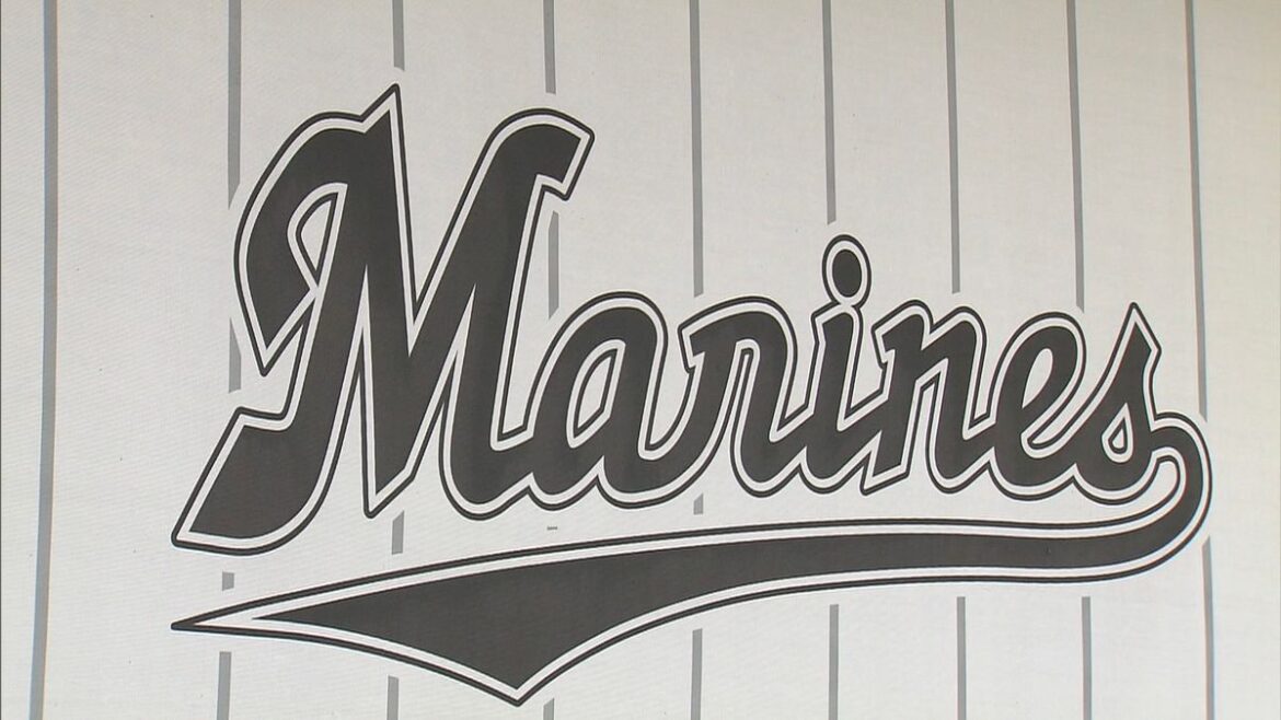 日本テレビ放送網