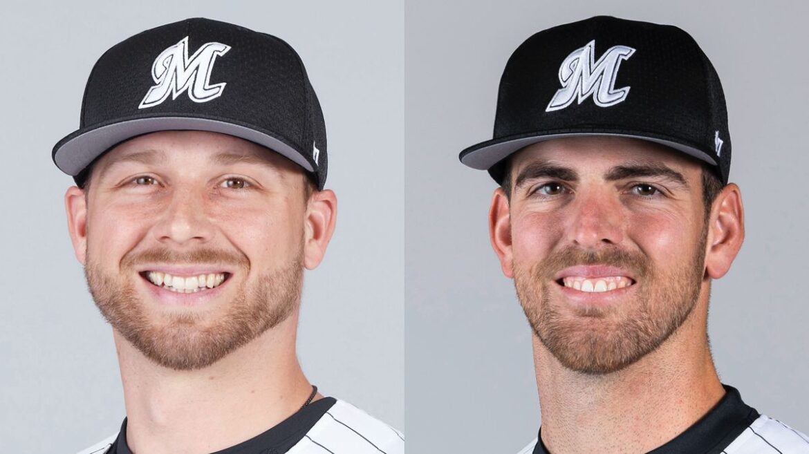 日本テレビ放送網