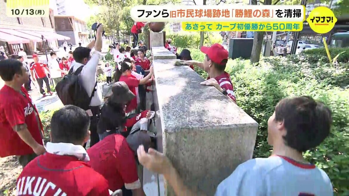 「球団創設期の苦労も若い人に伝えたい」カープ初優勝から 50 周年で記念イベント 旧市民球場跡地「勝鯉の森」を清掃 応援歌ライブも | TBS NEWS DIG (1ページ) - TBS NEWS DIG