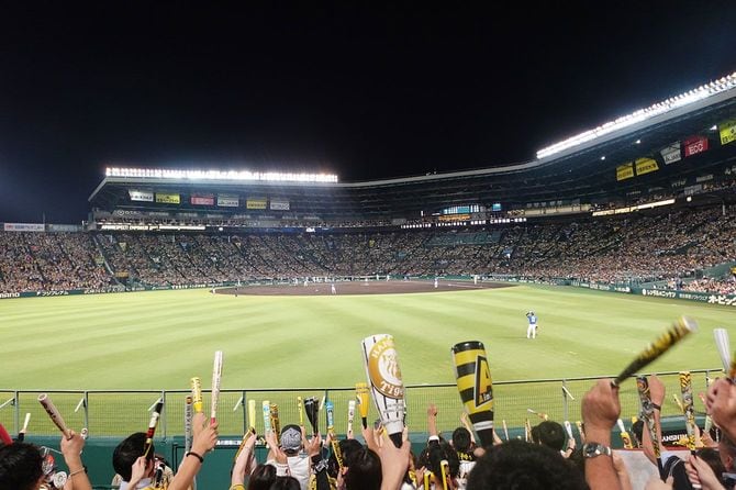 かつて三角州だった甲子園球場。打席に佐藤輝明選手が立っている