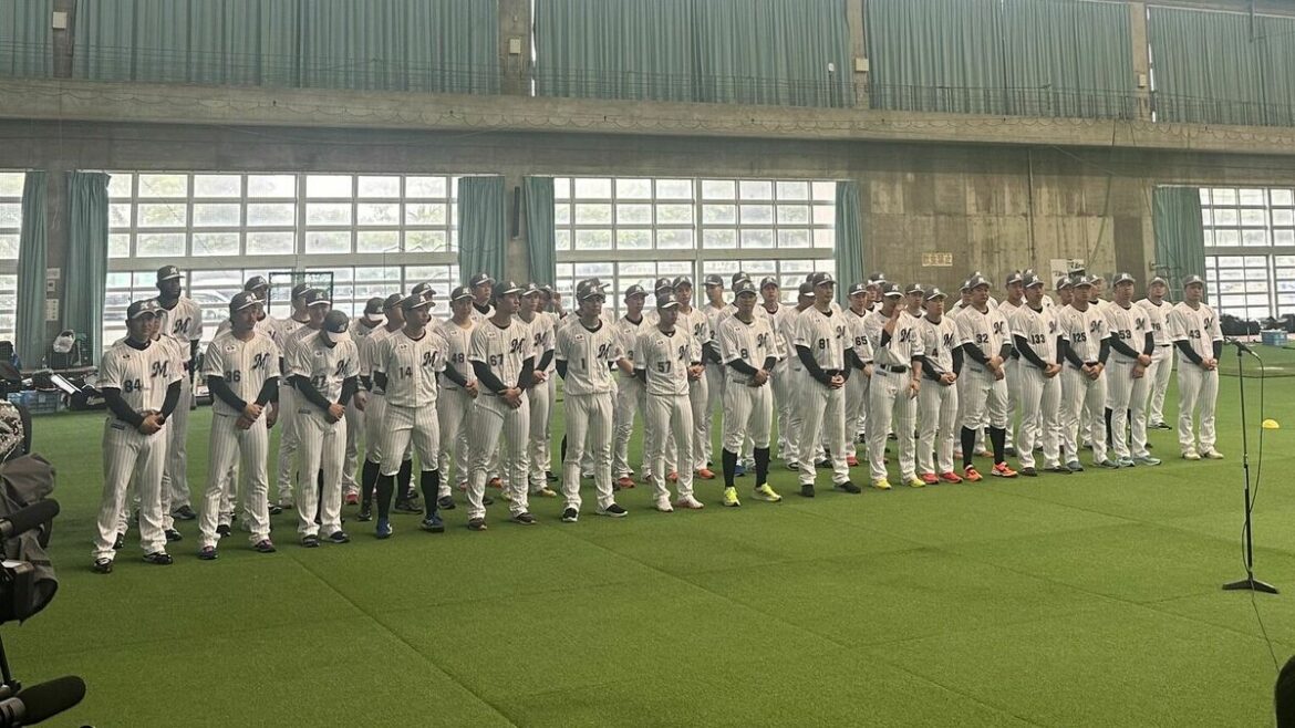 ロッテ1軍の春季キャンプ、沖縄・石垣市から撤退 宮崎へ変更、2軍は継続 地元ファン「寂しい」 - 沖縄タイムス社