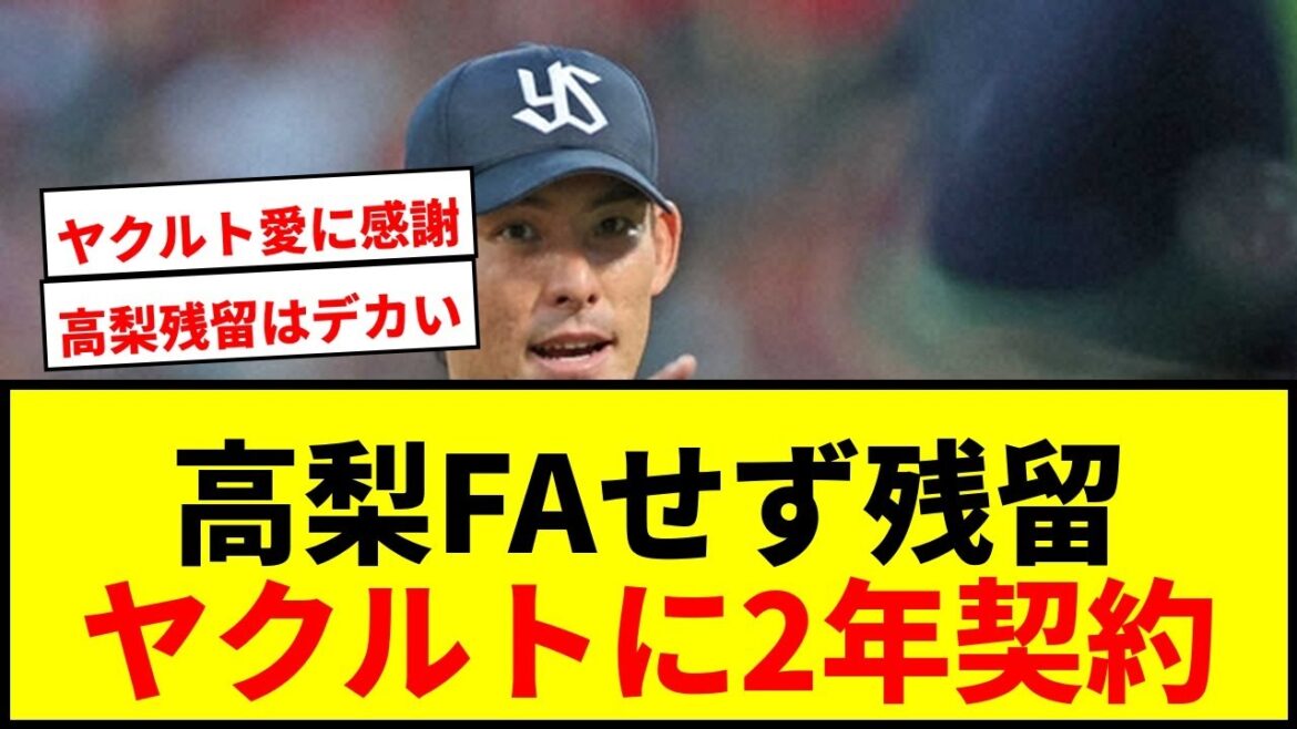 【速報】ヤクルト高梨裕稔、国内FA権行使せず残留決定！2年契約合意で燕軍団に愛着