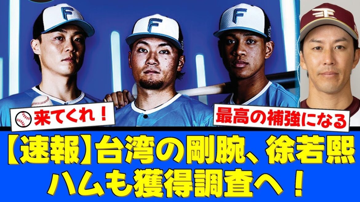 【争奪戦勃発】台湾の岸孝之こと徐若熙投手にNPB複数球団が熱視線!最速158キロ右腕はファイターズに来るのか!?ファンの期待の声まとめ【プロ野球ファンの反応】 【争奪戦勃発】台湾の岸孝之こと徐若熙投手にNPB複数球団が熱視線!最速158キロ右腕はファイターズに来るのか!?ファンの期待の声まとめ【プロ野球ファンの反応】