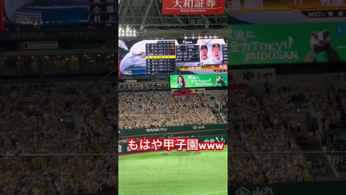 日本シリーズ。ビジターですかこれは？ #阪神タイガース #佐藤輝明 #shorts