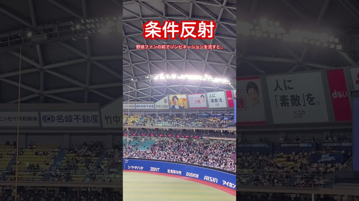 【2024プレミア12】条件反射①野球ファンの前でゾンビネーションを流すと… #プレミア12 #侍ジャパン #侍japan #山崎康晃 #ヤスアキジャンプ #野球 #プロ野球