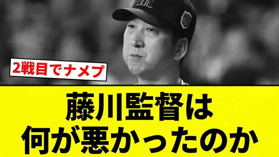【疑問】藤川監督は何が悪かったのか【プロ野球反応集】【2chスレ】【なんG】