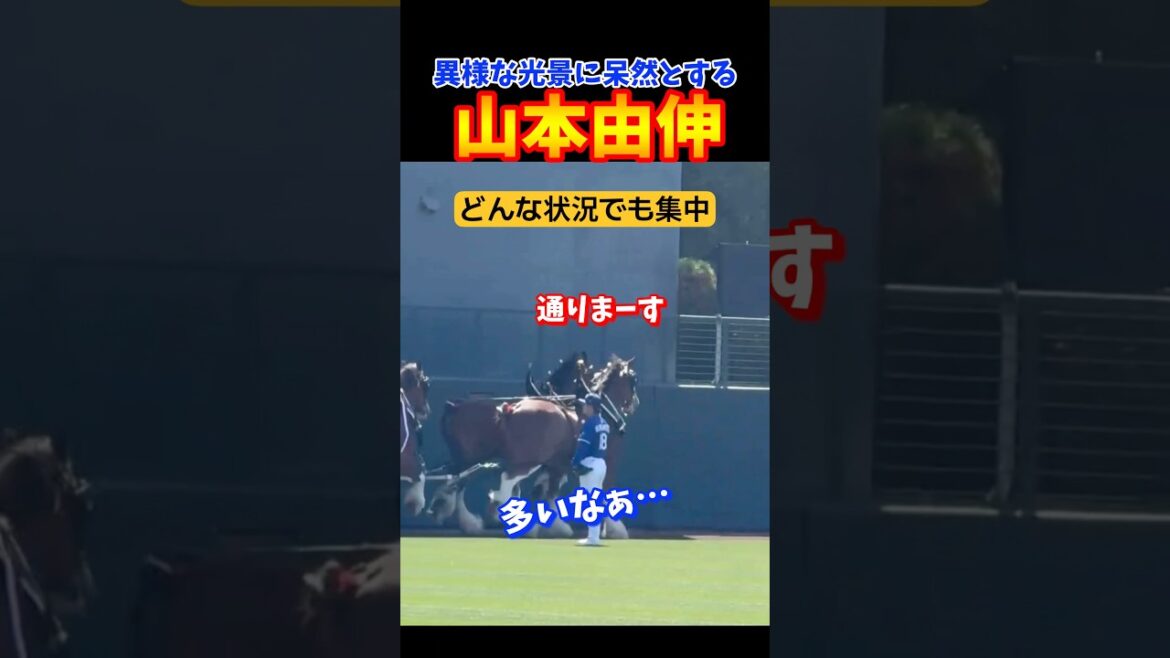 呆然とする山本由伸！！