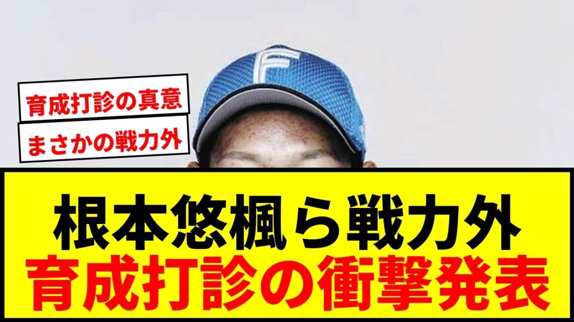 【速報】日本ハム、根本悠楓ら支配下4選手に戦力外通告！育成打診の裏に何が？