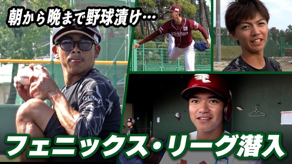 【潜入調査🎤】知られざる“フェニックス・リーグ”野球漬けの1日に密着！