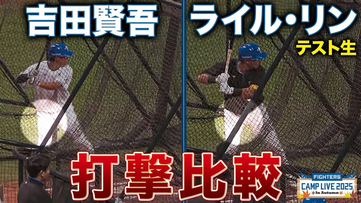 吉田賢吾＆ライル・リン スイング比較＜11/1ファイターズ秋季キャンプ2025＞