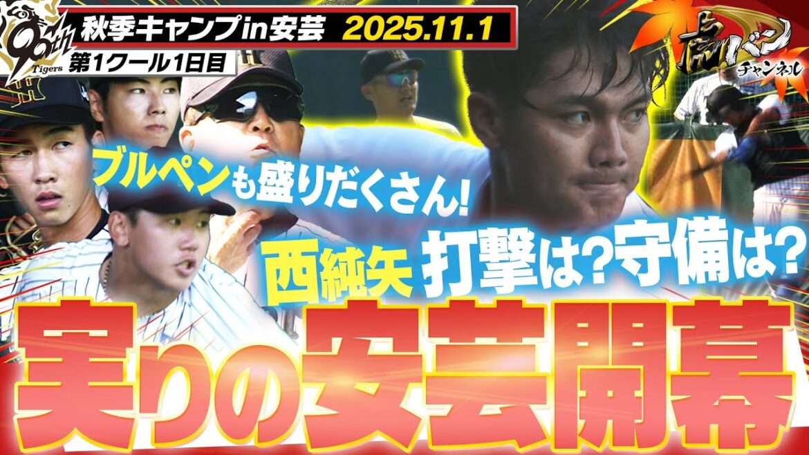 【11月1日秋季キャンプ】2年目藤川阪神がキャンプイン!虎戦士25人が安芸に集結!悲願のリーグ連覇、日本一奪還の旅がここから始まる!阪神タイガース密着!応援番組「虎バン」ABCテレビ公式チャンネル 【11月1日秋季キャンプ】2年目藤川阪神がキャンプイン!虎戦士25人が安芸に集結!悲願のリーグ連覇、日本一奪還の旅がここから始まる!阪神タイガース密着!応援番組「虎バン」ABCテレビ公式チャンネル