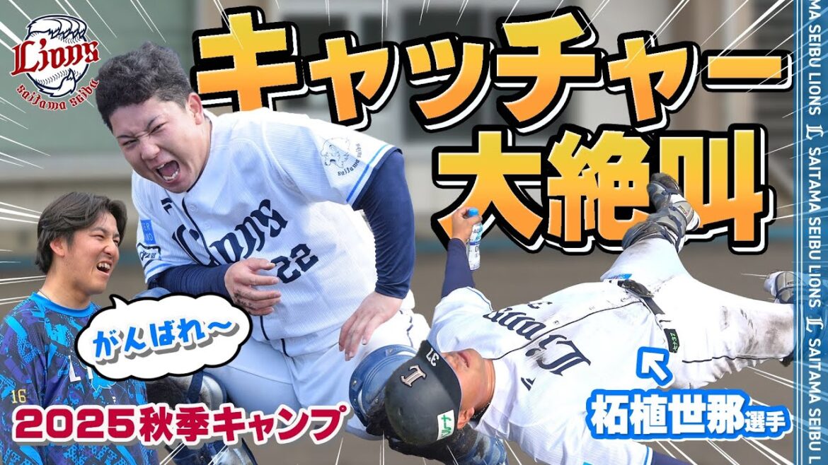 【絶叫！】キャッチャー陣、魂の特守に密着！【南郷・所沢秋季キャンプ第1クール3日目ダイジェスト】