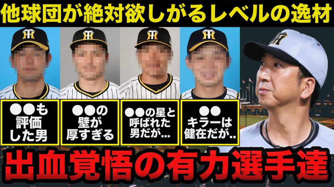 【衝撃】阪神タイガース現役ドラフト!他球団が絶対に欲しがる放出の可能性がある選手達に一同驚愕【プロ野球】 【衝撃】阪神タイガース現役ドラフト!他球団が絶対に欲しがる放出の可能性がある選手達に一同驚愕【プロ野球】