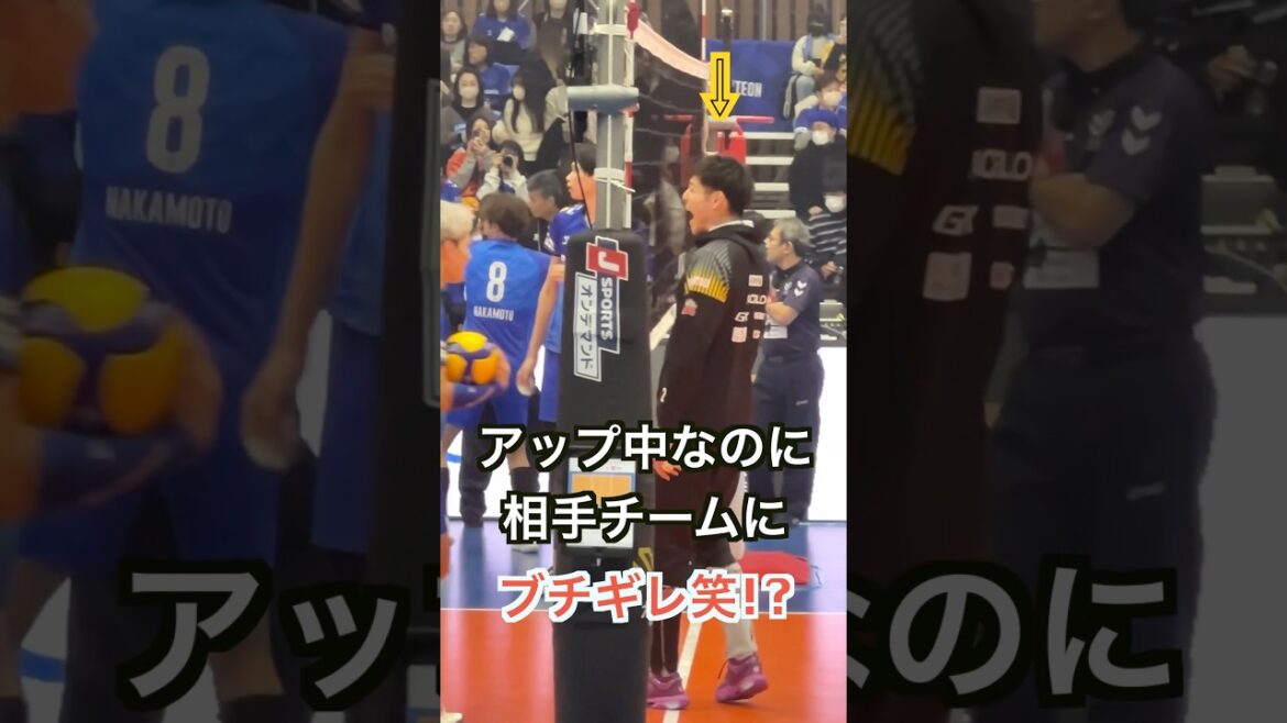 アップ中なのに相手チームにブチギレ!?ww【大阪ブルテオン】【JTEKT STINGS愛知】 #バレーボール #volleyball    #japanvolleyball