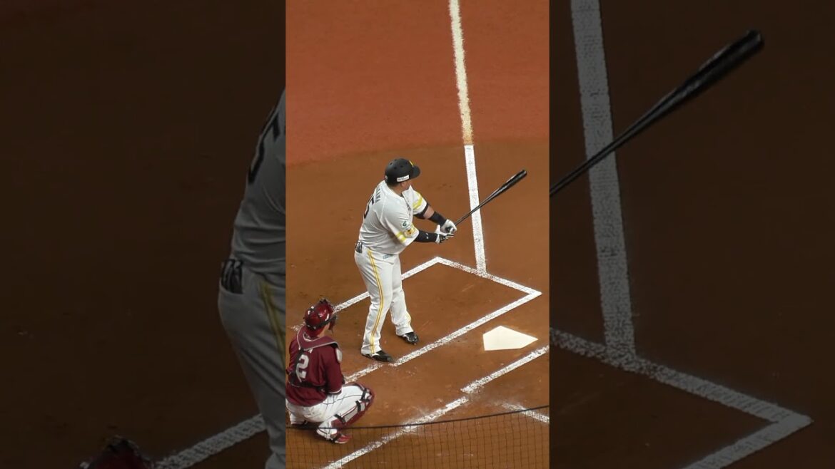 山川 穂高　一本バット打席入り　#福岡ソフトバンクホークス #shorts