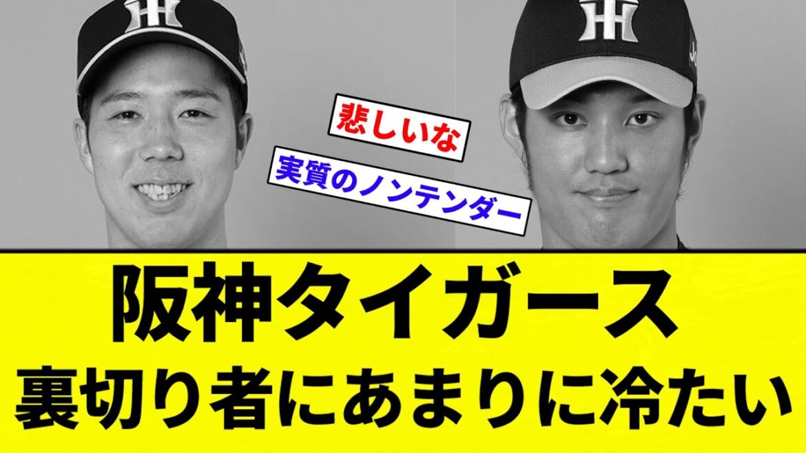 【お前 冷たかったな】阪神タイガース、青柳や藤浪獲得せず。裏切り者にあまりに冷たい模様【プロ野球反応集】【2chスレ】【なんG】