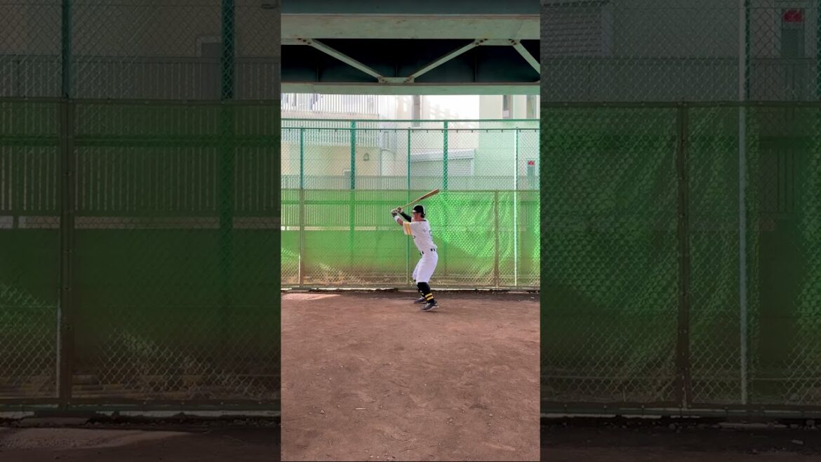 打ち損じても豪快なバット投げは欠かさない嶺井博希選手