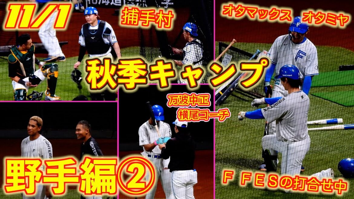 【20251101】秋季キャンプ②『野手編』 【20251101】秋季キャンプ②『野手編』