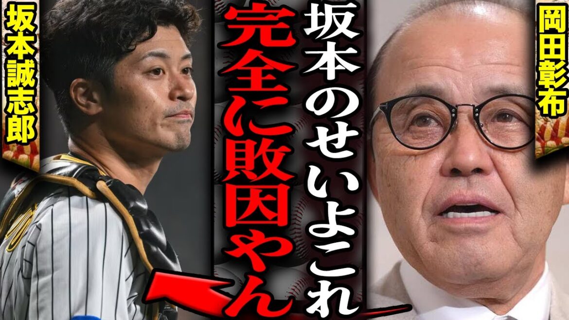 岡田彰布が坂本誠志郎をV逸戦犯と大批判…日本シリーズの解説そっちのけで坂本に苦言連発、ペナントレースMVPと称賛した捕手を一転して苦言を呈した真相が…【プロ野球】