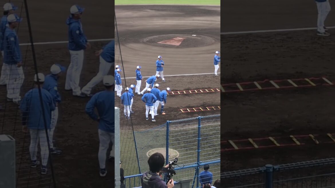 【プロ野球】11月2日　中日ドラゴンズ　秋季キャンプ　『朝のウォーミングアップ♡』#中日ドラゴンズ #中日 #野球