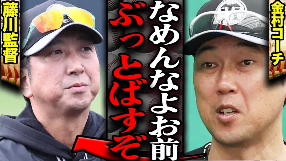 金村コーチが退団した本当の理由に絶句!藤川監督との確執、日本S敗退の裏で巻き起こっていた空中崩壊に絶句【プロ野球】 金村コーチが退団した本当の理由に絶句!藤川監督との確執、日本S敗退の裏で巻き起こっていた空中崩壊に絶句【プロ野球】