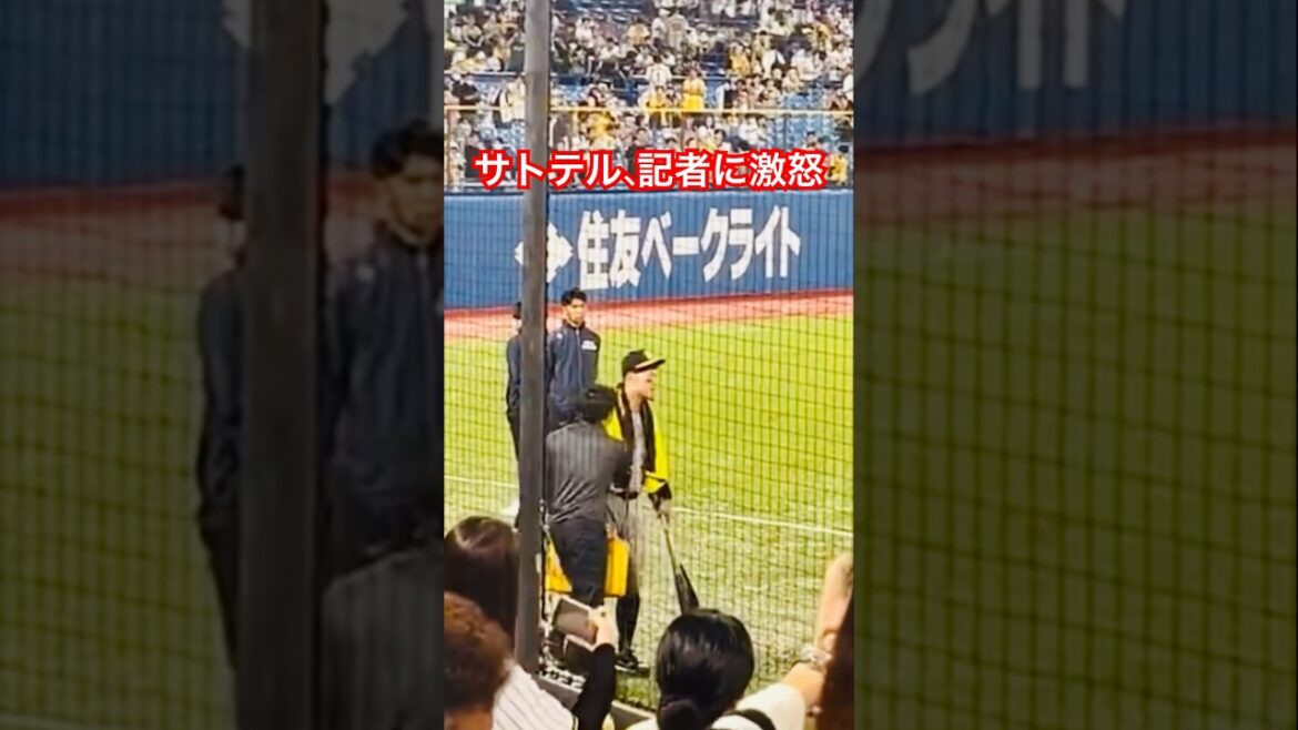 佐藤輝明選手、記者に激怒。 #阪神 #サトテル #激怒 #shorts