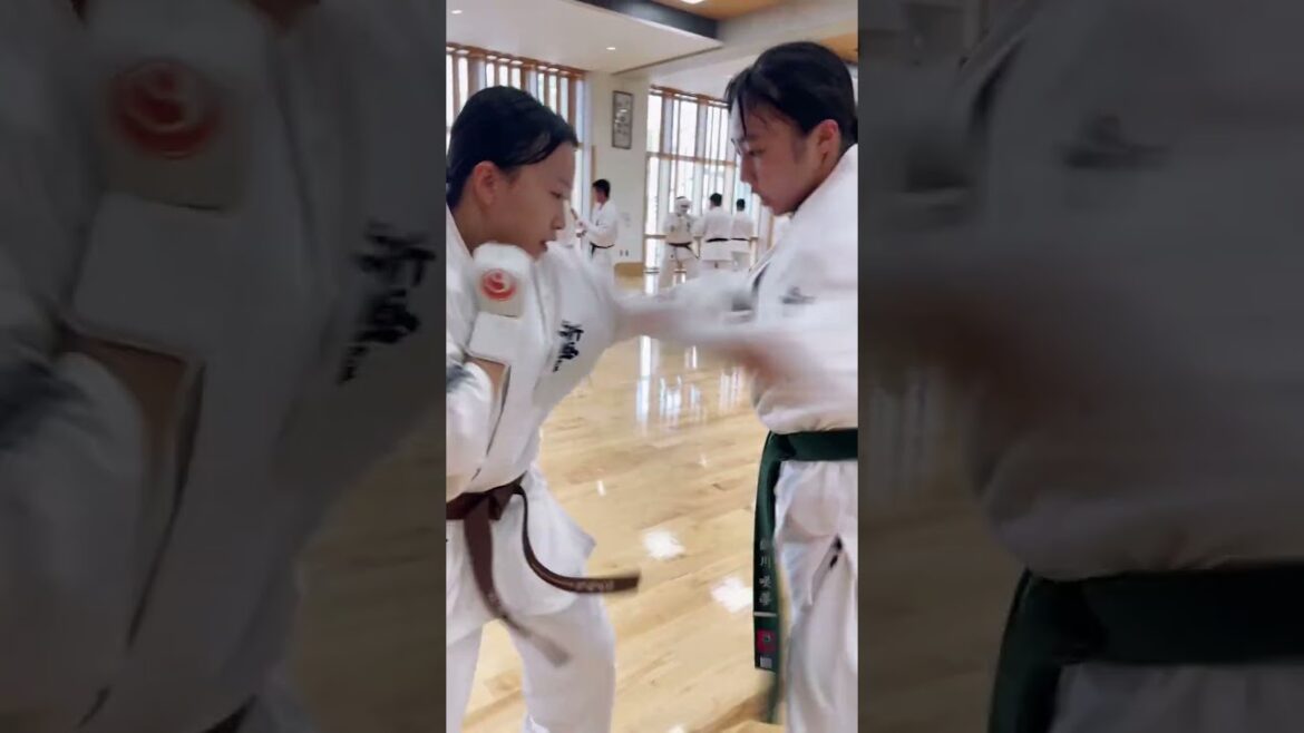 【新極真会】九州合同稽古 (2024年8月) #martialarts #極真空手 #karate #kyokushin #shinkyokushin #新極真会