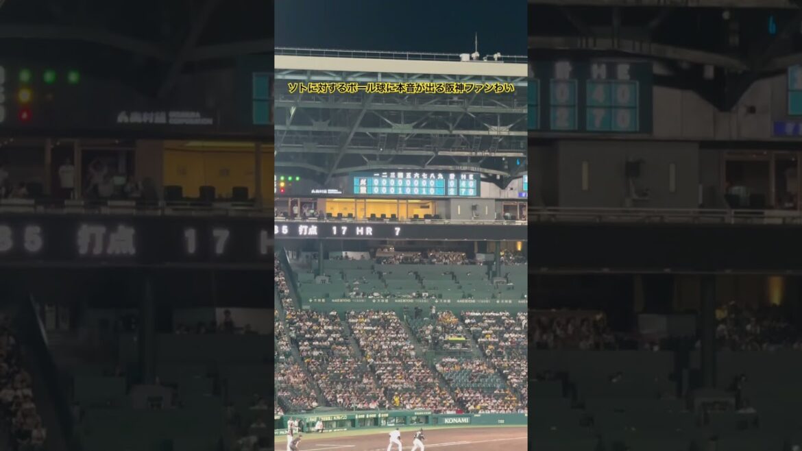 ソトに対するストライクの判定に本音が出る阪神ファンわい #ソト #甲子園 #プロ野球 #千葉ロッテマリーンズ #誤審 #山本貴則