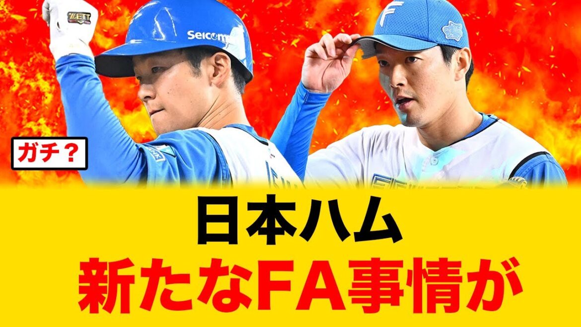 【残留？行使？】日本ハムFA事情に新たな情報が！【北海道日本ハムファイターズ】