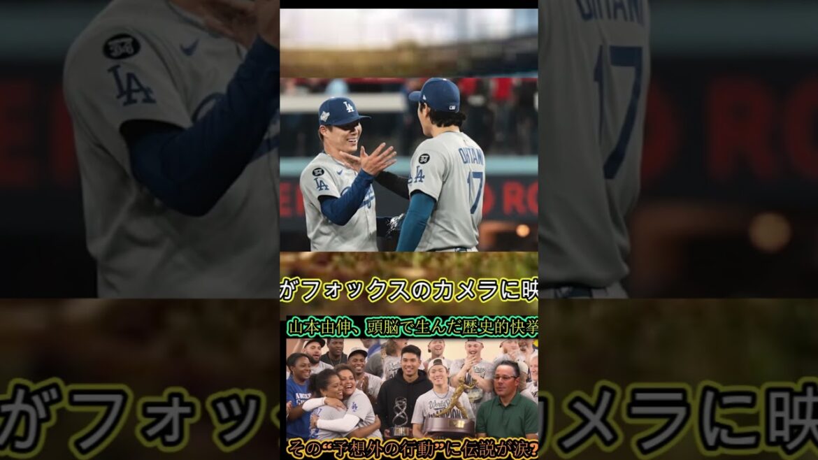 #中日ドラゴンズ #baseballnews #プロ野球 #sportsnews #野球 #中日ドラゴンズ #baseballnews #プロ野球 #sportsnews #野球