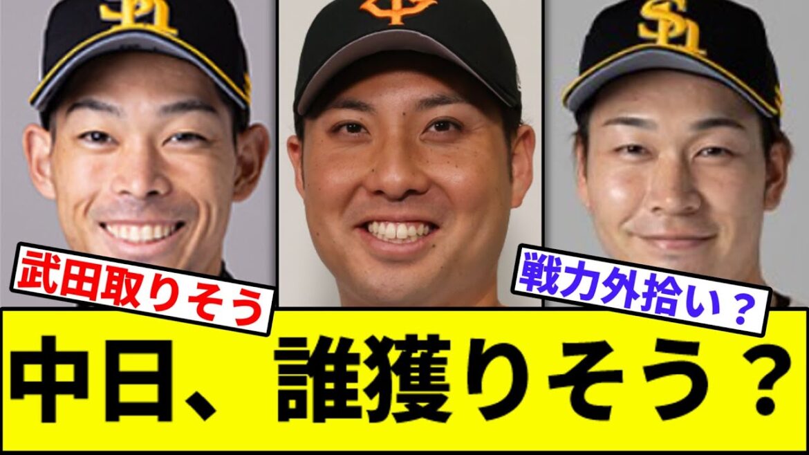【疑問】中日、誰獲りそう？【なんJ反応】【なんG反応】【プロ野球反応集】【2chスレ】【5chスレ】【巨人】【阪神】【中日】【横浜】【ヤクルト】【カープ】【井上】【田中将大】【ライデル】
