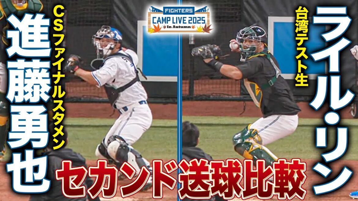 進藤勇也vsライル・リン 捕手セカンド送球比較！マイナーリーグ経験者と成長中の2年目を比較＜11/1ファイターズ秋季キャンプ2025＞