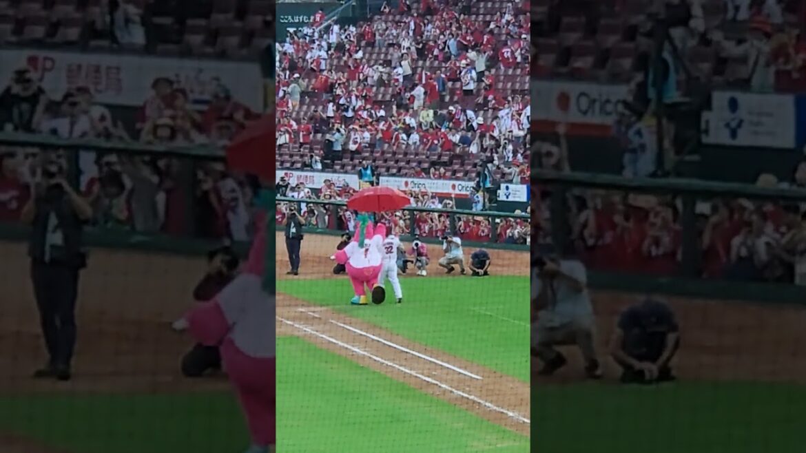 【2024.7.13】今日のヒーロー  #shorts   #石原貴規  #carp