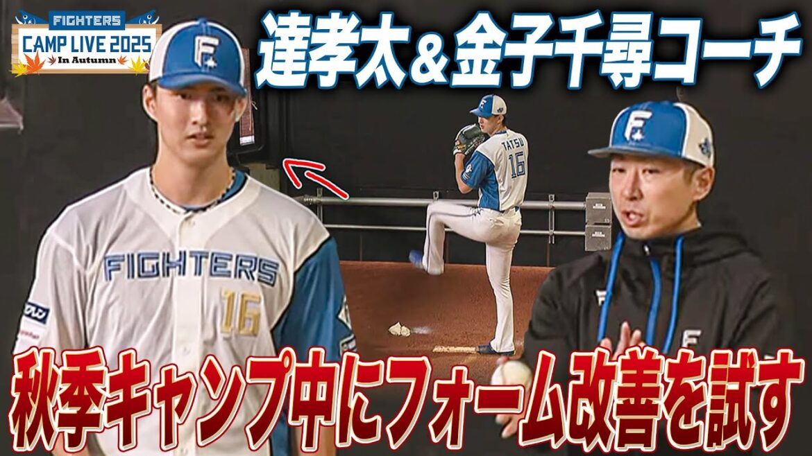 達孝太＆金子千尋コーチ 秋季キャンプならではフォームの微修正を試しながら会話＜11/2ファイターズ秋季キャンプ2025＞