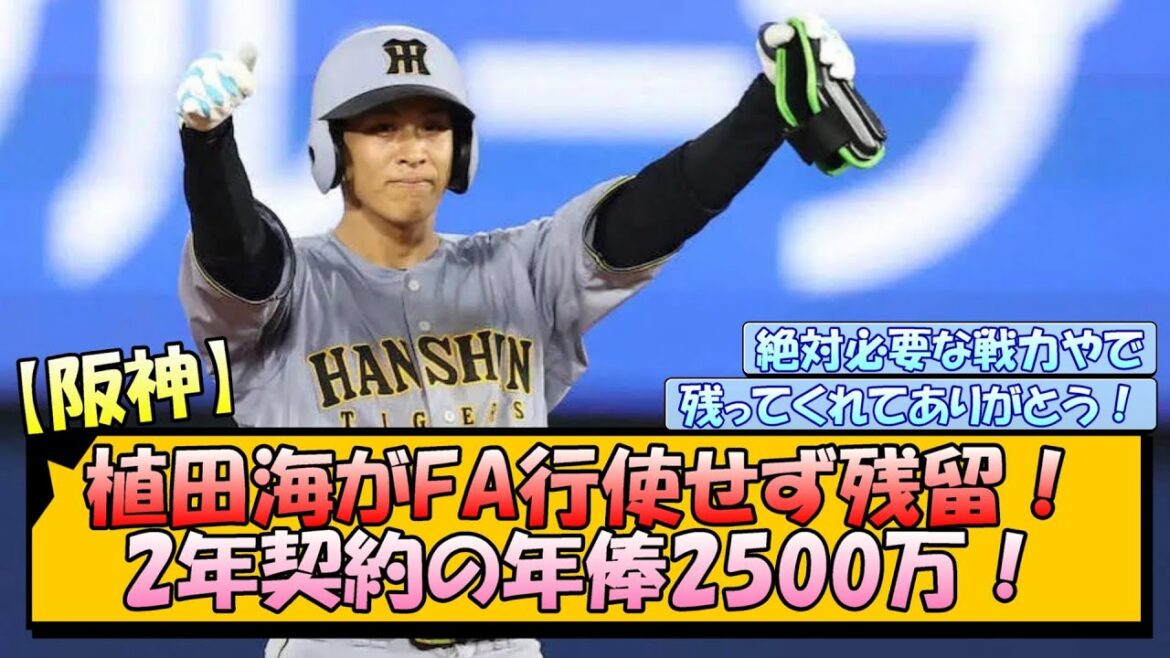 【阪神】植田海がFA行使せず残留！2年契約の年俸2500万！