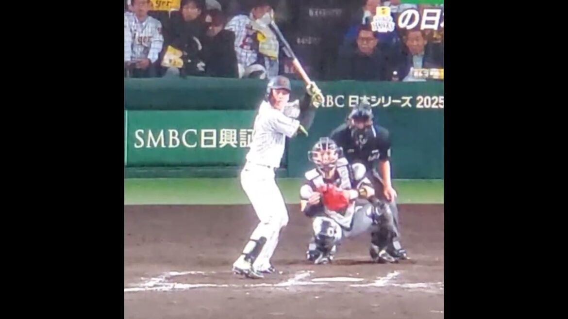 【日本ｼﾘｰｽﾞ第5戦】 #髙寺望夢 の #打撃フォーム　#shorts　20251030@阪神甲子園球場