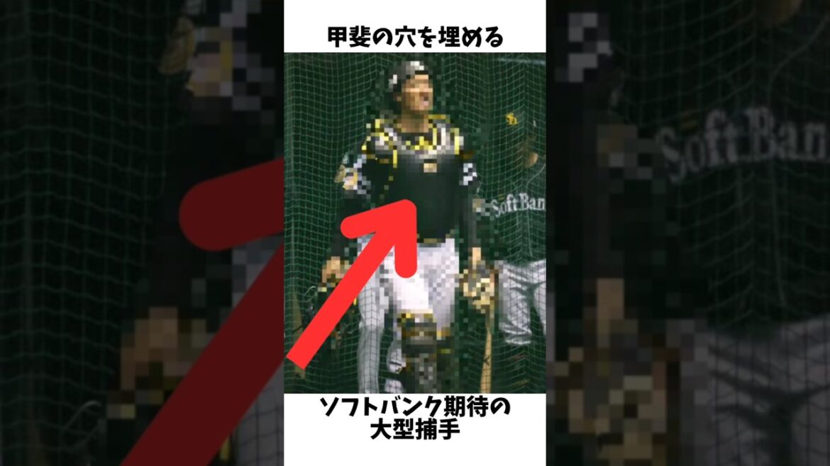 #127 甲斐が抜けたソフトバンク正捕手の座を狙う苦労人#プロ野球 #福岡ソフトバンクホークス #大友宗 #127 甲斐が抜けたソフトバンク正捕手の座を狙う苦労人#プロ野球 #福岡ソフトバンクホークス #大友宗