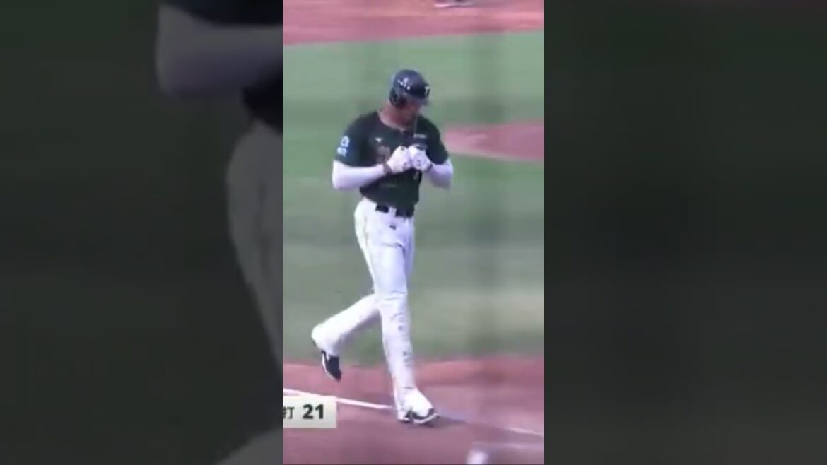 π Birthday Bombs! Steven Moya 2 HR #stevenmoya #trending #baseball #sports #viral #taiwan #lidom π Birthday Bombs! Steven Moya 2 HR #stevenmoya #trending #baseball #sports #viral #taiwan #lidom