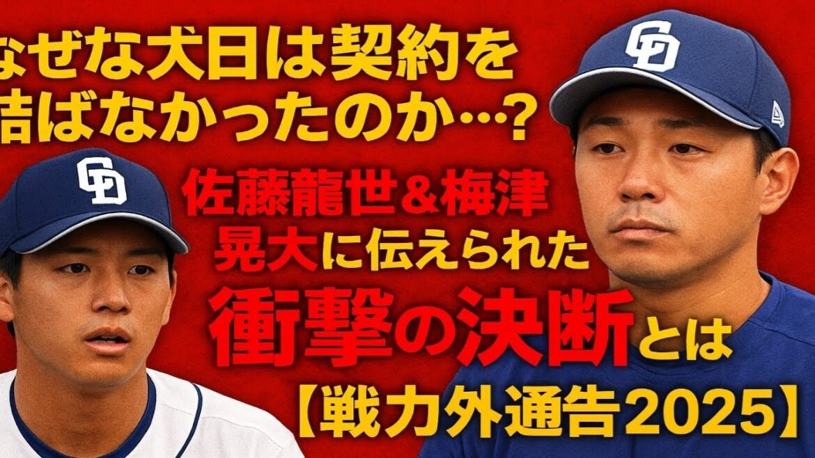 「なぜ中日は契約を結ばなかったのか…?」佐藤龍世&梅津晃大に伝えられた“衝撃の決断”とは?【戦力外通告2025】 「なぜ中日は契約を結ばなかったのか…?」佐藤龍世&梅津晃大に伝えられた“衝撃の決断”とは?【戦力外通告2025】
