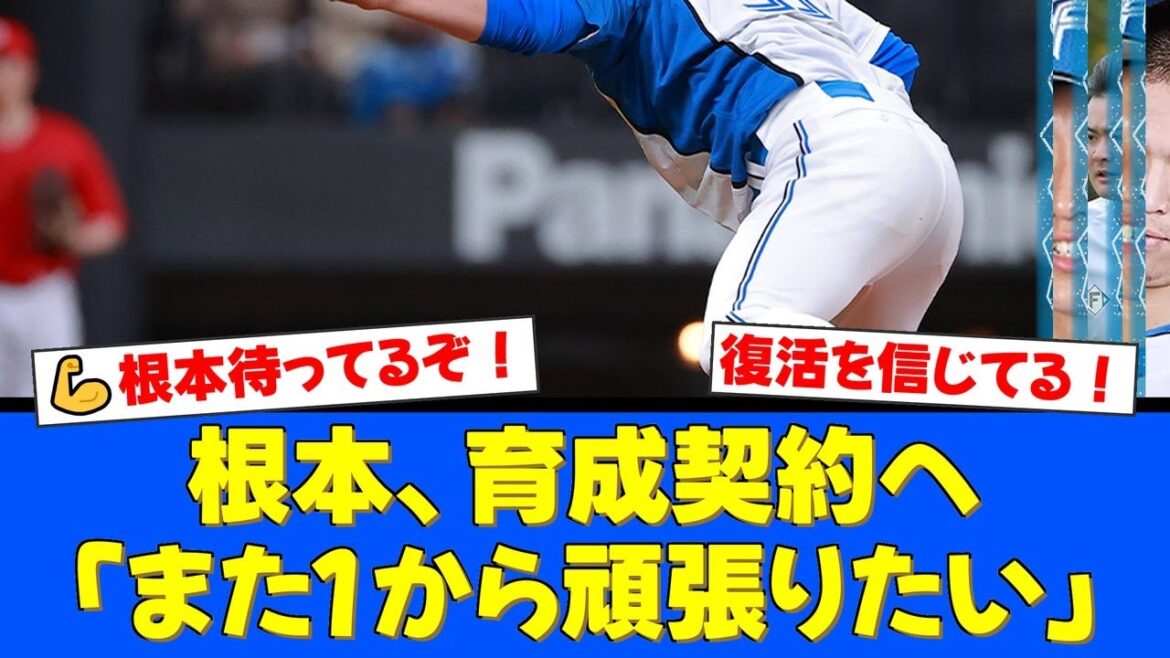 【衝撃】侍ジャパン選出の根本悠楓がまさかの戦力外通告。しかし育成契約打診に「また1から頑張りたい」と復活を誓う姿にファンから激励の声が殺到。【プロ野球ファンの反応】