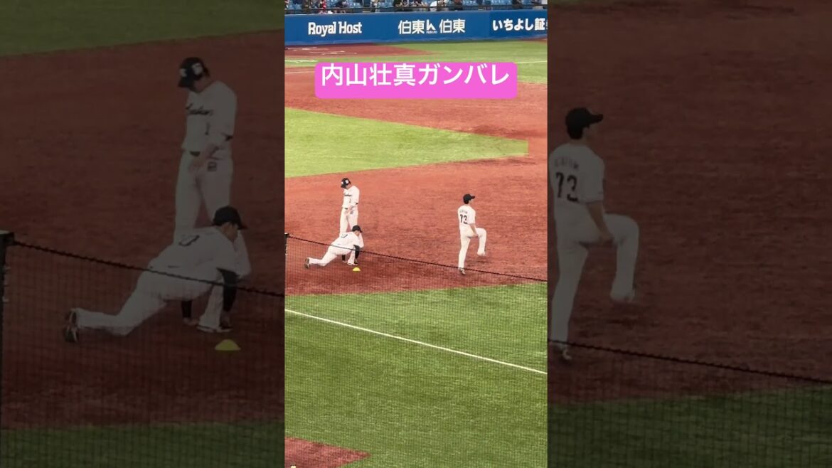 内山壮真選手ガンバレ！ヤクルトスワローズ