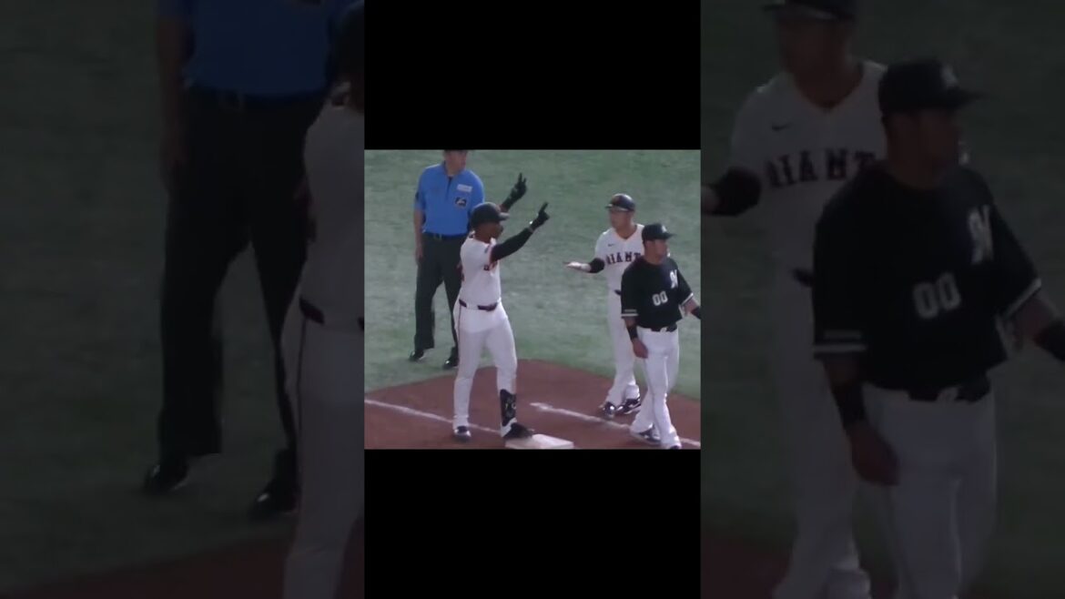 ヒットを放つヘルナンデス【読売ジャイアンツ対千葉ロッテマリーンズ2024年6月4日】　#ヘルナンデス　#安打 #巨人