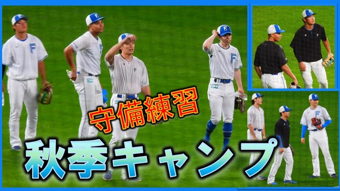 【20251101】秋季キャンプ（外野・内野）