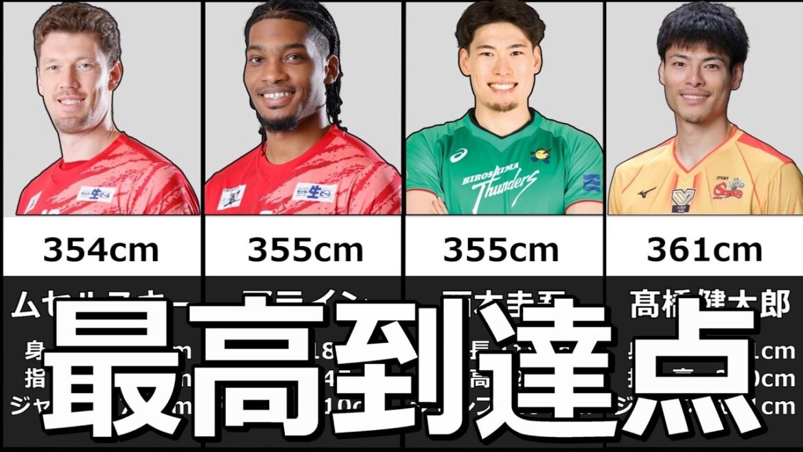 【プロバレー】最高到達点ランキング