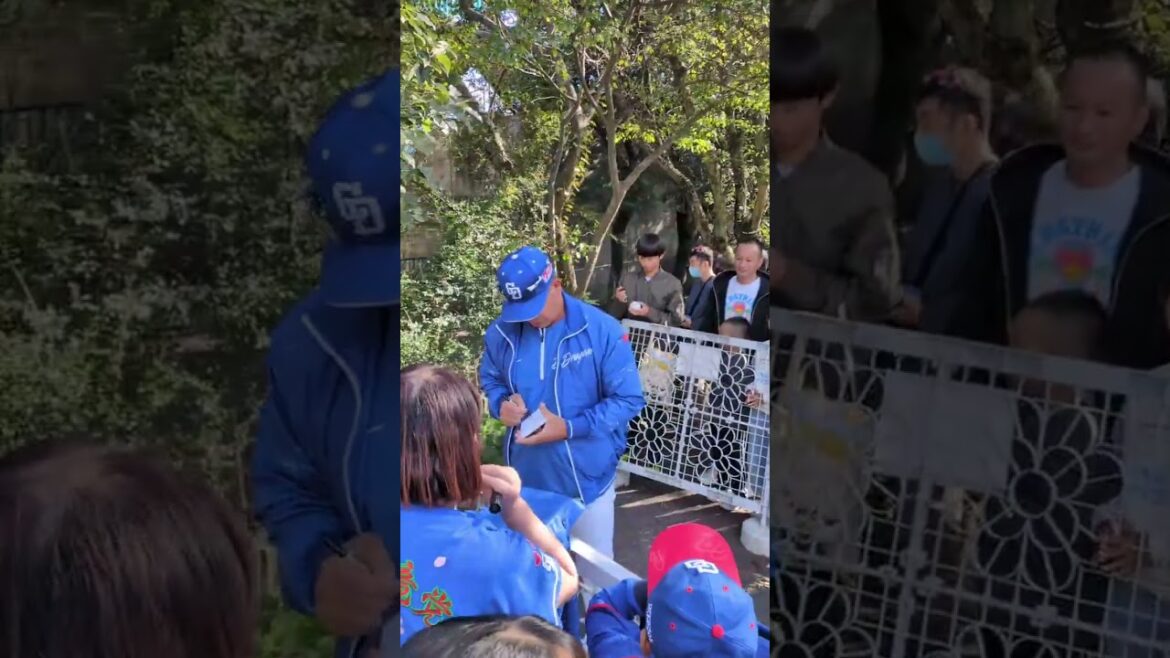 中日ドラゴンズ『秋季キャンプ』井上監督の青空サイン会#中日ドラゴンズ#中日 #野球 #秋季キャンプ#ショート #ショート動画 #shorts #short#プロ野球 #守備 #ピッチャー#キャッチャー