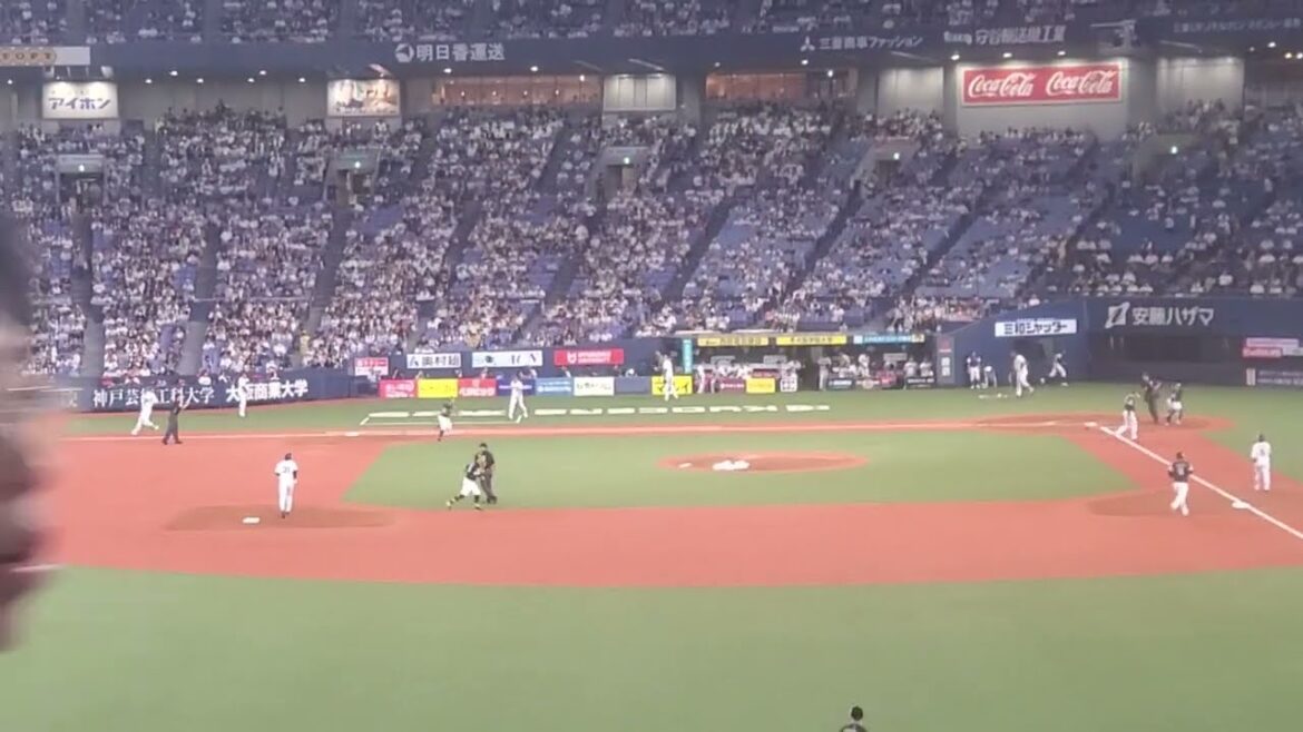 20240913　ﾗｵｳ炸裂！【杉本裕太郎 応援歌】　1回ｳﾗ　ｵﾘｯｸｽ･ﾊﾞﾌｧﾛｰｽﾞ@京ｾﾗﾄﾞｰﾑ大阪･ﾚﾌﾄ外野下段