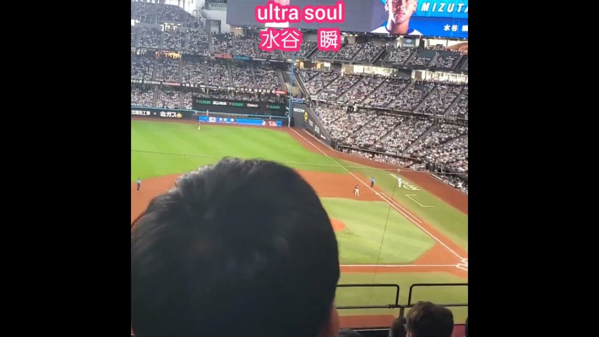 20250831　ultra soul！　ｳﾙﾄﾗｿｳﾙで打席に向かう！水谷瞬　#shorts　#水谷ジェッシー瞬@ｴｽｺﾝﾌｨｰﾙﾄﾞHOKKAIDO･内野3塁側