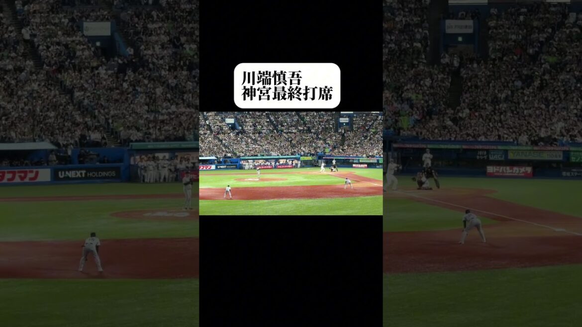 【東京ヤクルト】川端慎吾最終打席#川端慎吾 #応援歌 #引退 #チャンス川端#神宮球場 #shoto