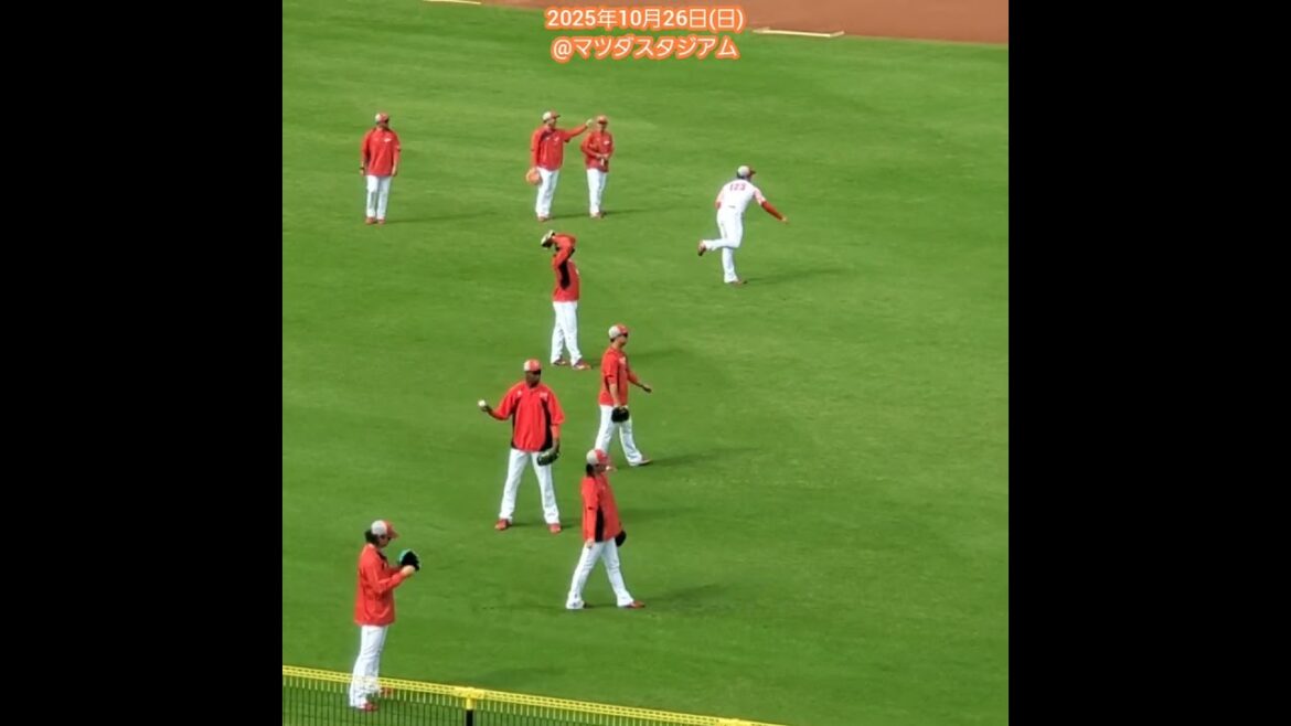 20251026　ｶｰﾌﾟ秋季練習！ｷｬｯﾁﾎﾞｰﾙする投手陣　#shorts@MAZDA Zoom-Zoom ｽﾀｼﾞｱﾑ広島